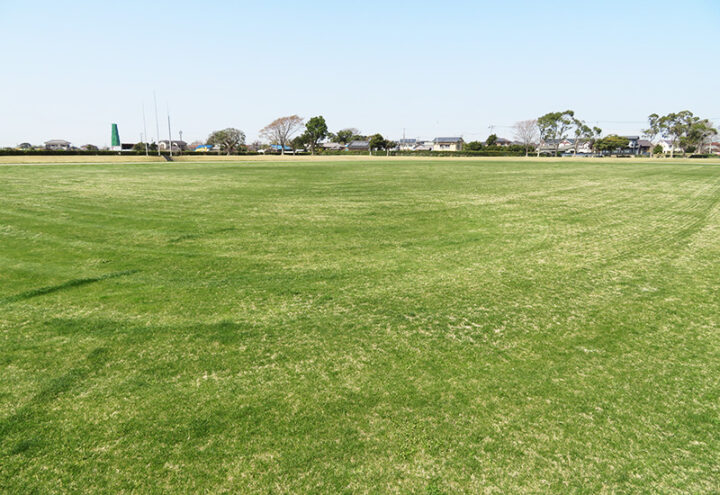 インフィールド