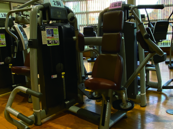 ペクトラル（胸）