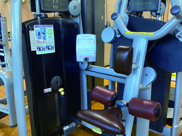 プルダウン（上背）