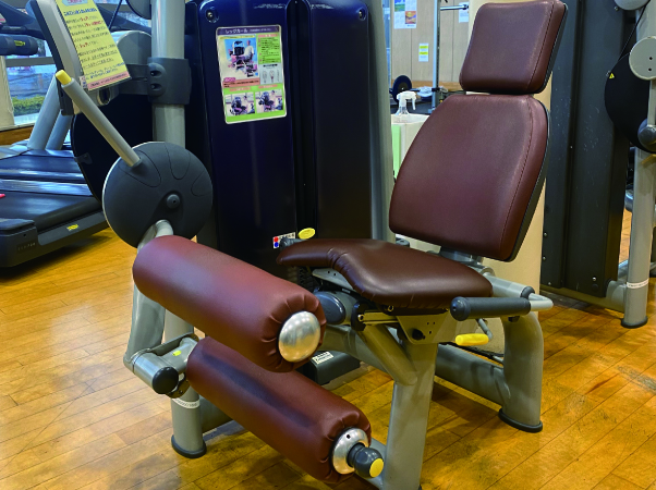 レッグカール（大腿後部）