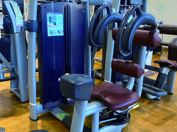 ロータリートーソ（腹斜部）