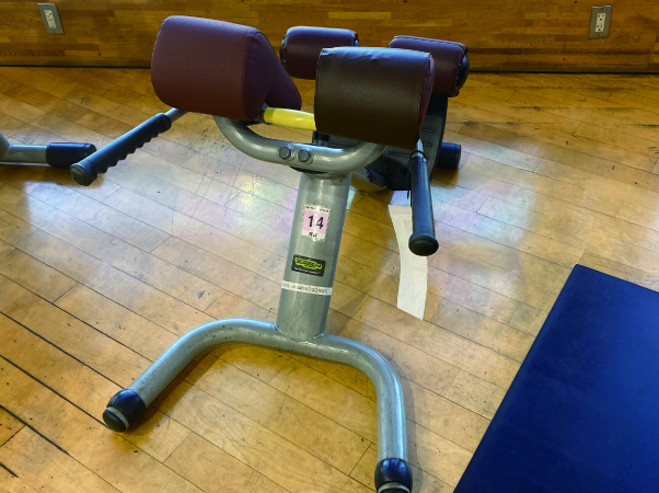 ローワーバック（下背部）